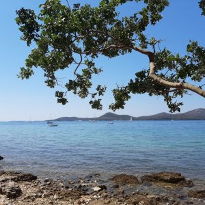 Dalmatien: INSEL PASMAN > Blick vom Festland zur Insel