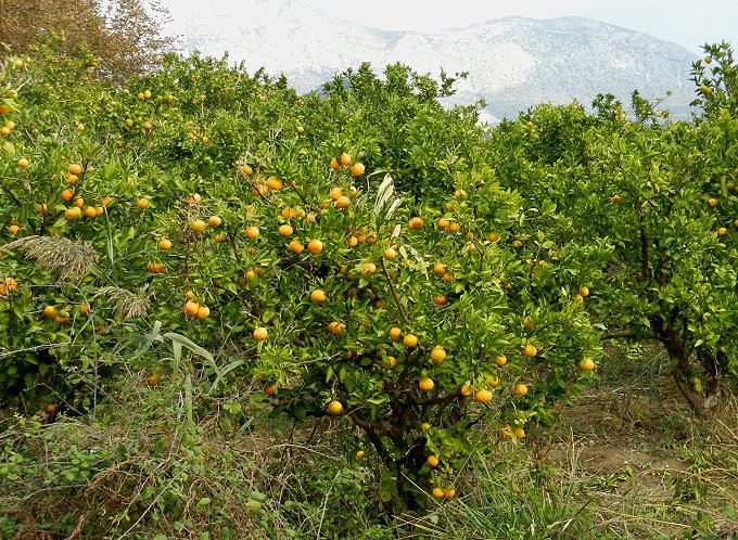 14_Anreise_Peljesac_142_680.jpg