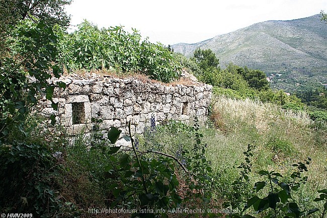 CAVTAT_Stadtmauer_2009IMG_1724.jpg