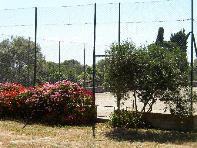 tennisplatz.jpg