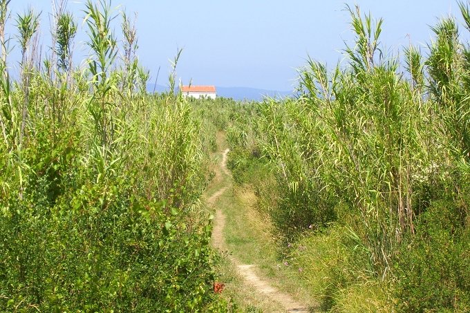 100_Wanderweg_zur_Kapelle_am_Kap_Arat.JPG