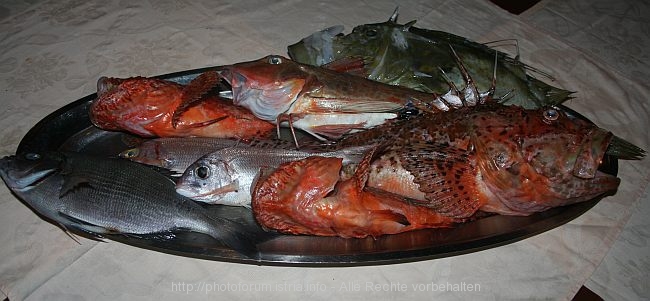 LOPAR_Konoba_Ankora-Frischer_Fisch_IMG_6462a.jpg