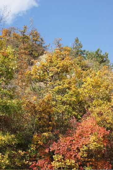 Herbststimmung.jpg