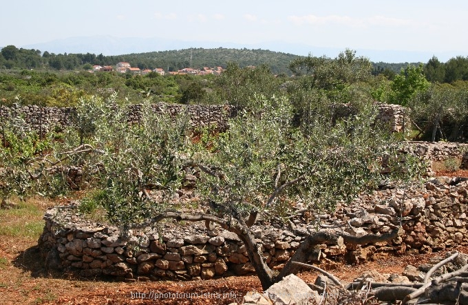 1_Starigrad_nach_Hvar_14.jpg