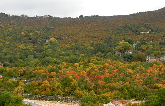 05_Anreise_Peljesac_019_680.jpg