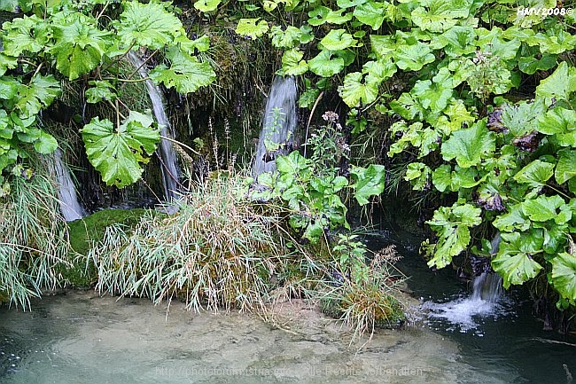 NP_PLITVICER_SEEN_Jezero_Gavanovac_Kalksinterbarriere_zum_Kaluderovac_2008_IMG_8612.jpg