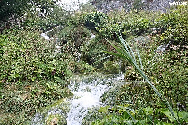 NP_PLITVICER_SEEN_Jezero_Gavanovac_Kalksinterbarriere_zum_Kaluderovac_2008_IMG_8618.jpg