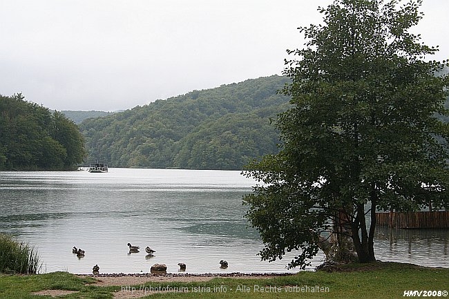 NP_PLITVICER_SEEN_Jezero_Kozjak_2008IMG_8652.jpg