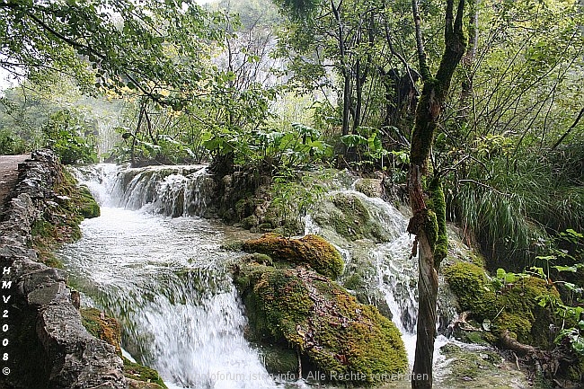 NP_PLITVICER_SEEN_Jezero_Milanovac_Kalksinterbarriere_zum_Gavanovac_IMG_8633.jpg