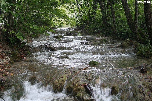 NP_PLITVICER_SEEN_Jezero_Milanovac_Wasserfall_2008IMG_8648.jpg