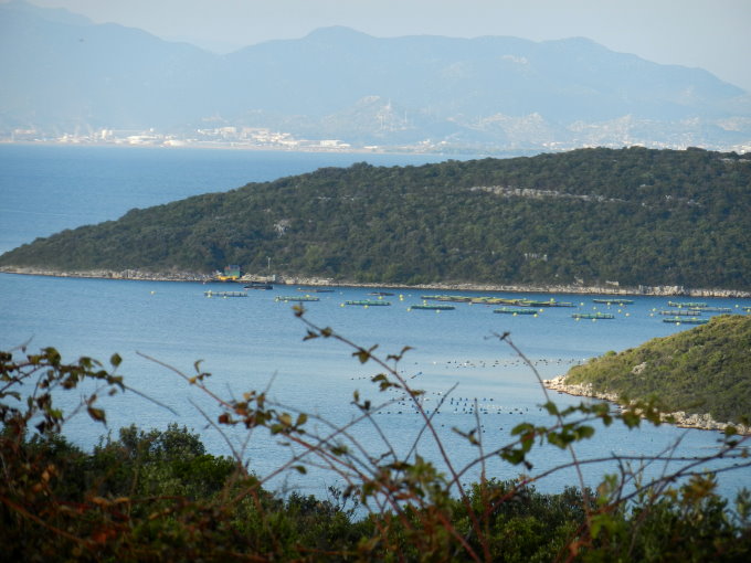 25_Anreise_Peljesac_208_680.jpg