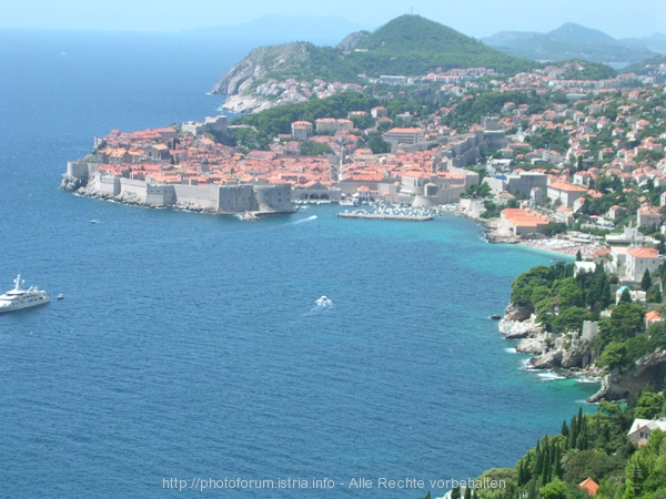 Dubrovnik_fern.jpg