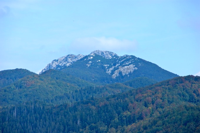 BlickRisnjak.jpg