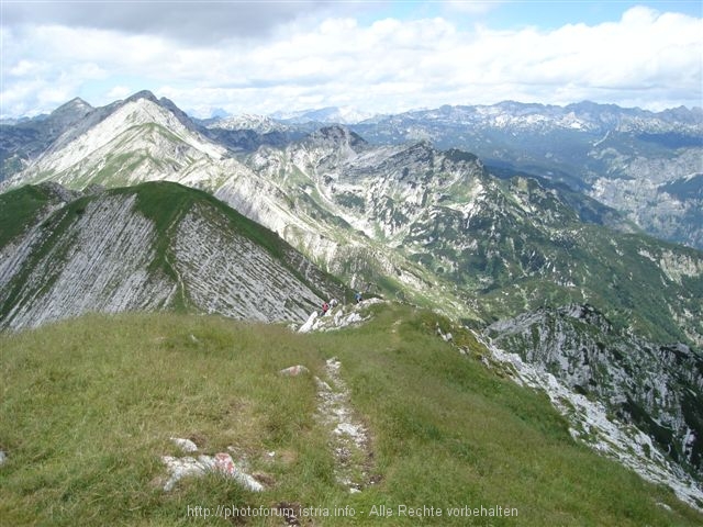 Bergkette_um_den_Vogel_1.JPG