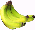 banane1.gif