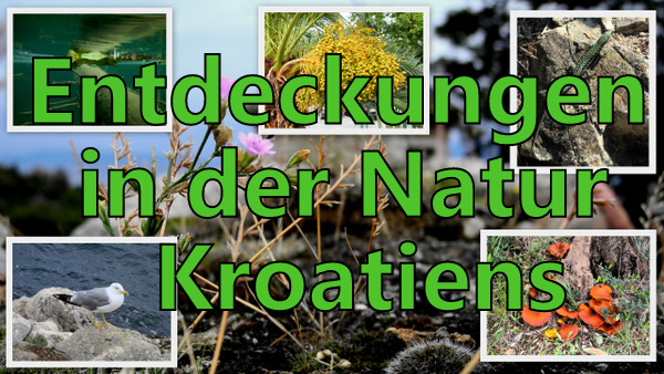 Natur2-001.jpg