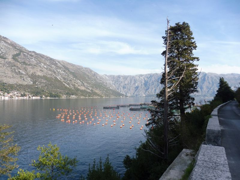 Bucht_von_Kotor_20.jpg