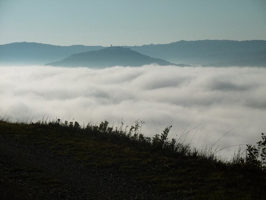 Nebel_im_Tal_der_Mirna.jpg