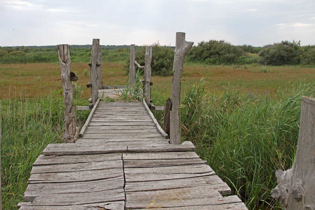 180721_IMG_7257_Vransko%2BJezero.jpg