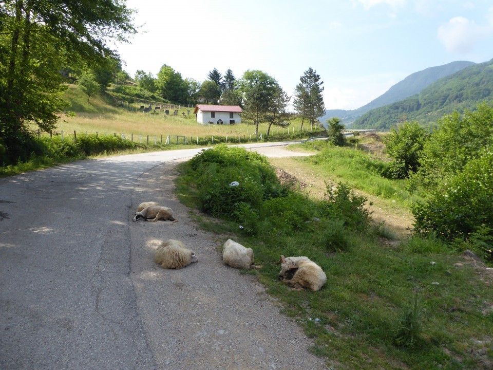 14155-von-der-drina-ins-durmitor-3