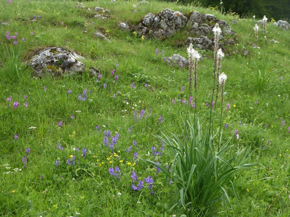 14166-von-der-drina-ins-durmitor-22