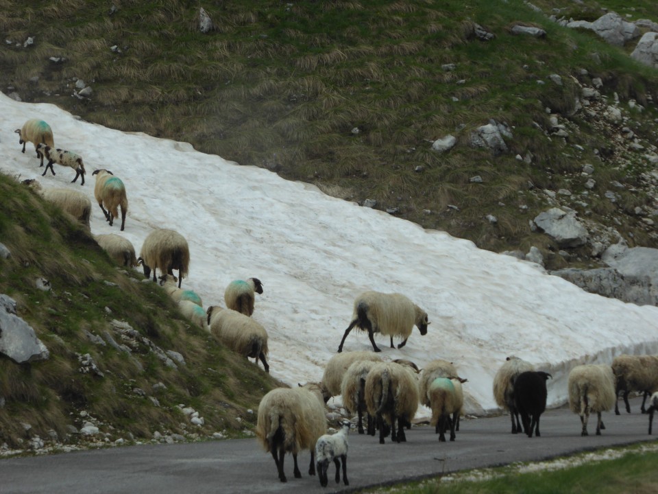 14172-von-der-drina-ins-durmitor-52