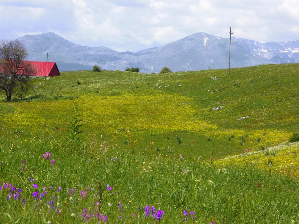 14370-von-der-drina-ins-durmitor-30