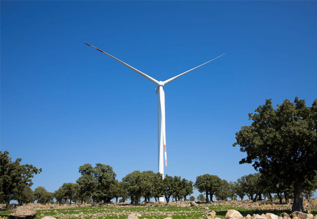 www.windkraft-journal.de