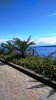 DSC_0004.JPG