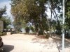 IMG_20160724_085410.jpg