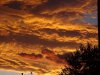DSC05972.JPG