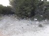 IMG-20160705-WA0013.jpg IMG-20160705-WA0013.jpg