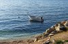 P1150020.JPG