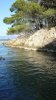 k-P1010814.JPG