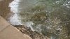 WP_20180409_009.jpg