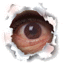 00004582.gif