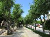 2. Cres Alleestrasse.JPG 2. Cres Alleestrasse.JPG