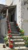 3. IMG_0276 Cres.JPG 3. IMG_0276 Cres.JPG