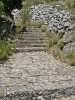 IMG_5390.JPG