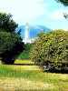IMG_20180605_160726.jpg