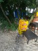 IMG_20180624_072636.jpg