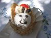 k-IMG_0078.JPG