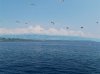 DSCN1454.jpg
