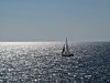 IMG_5015.JPG