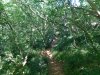 DSCN0984.JPG