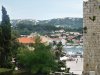DSCN1354.jpg