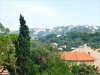 DSCN1353.jpg