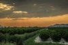 2F43A21D-1138-4C91-9FCA-C3292D69D01C.jpeg 2F43A21D-1138-4C91-9FCA-C3292D69D01C.jpeg