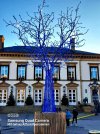 Der blaue Baum.jpg