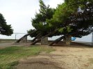 Urlaub in Kaštel Kambelovac 058.JPG